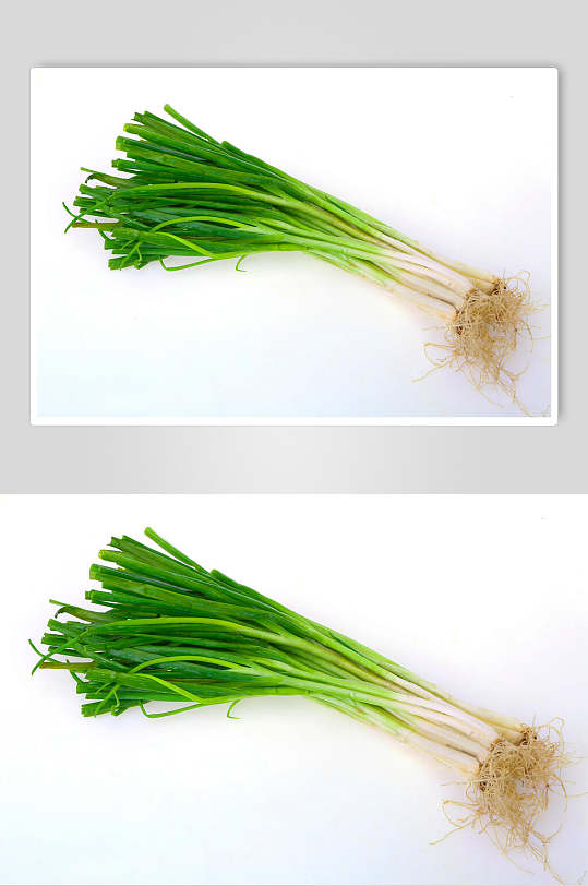 新鲜大葱蔬菜图片
