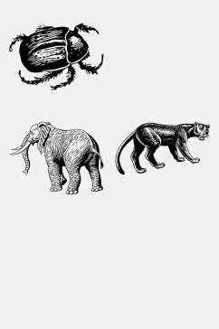 极简大象手绘线稿动物免抠素材