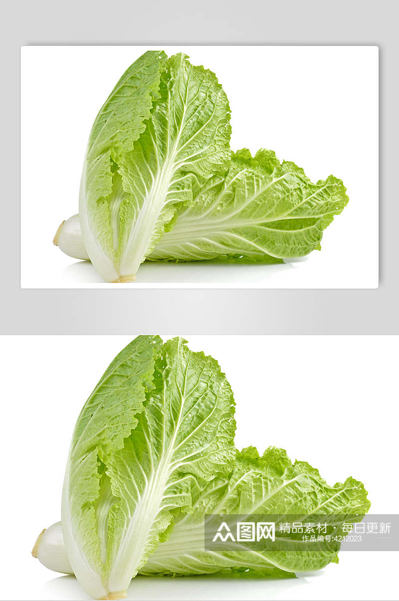 清新白底创意白菜蔬菜美食实拍图片素材