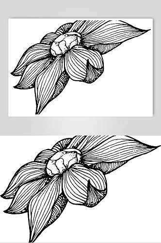 手绘线条创意大气黑花卉简笔画素材