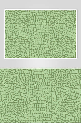 绿色斑马豹纹动物兽纹理图片