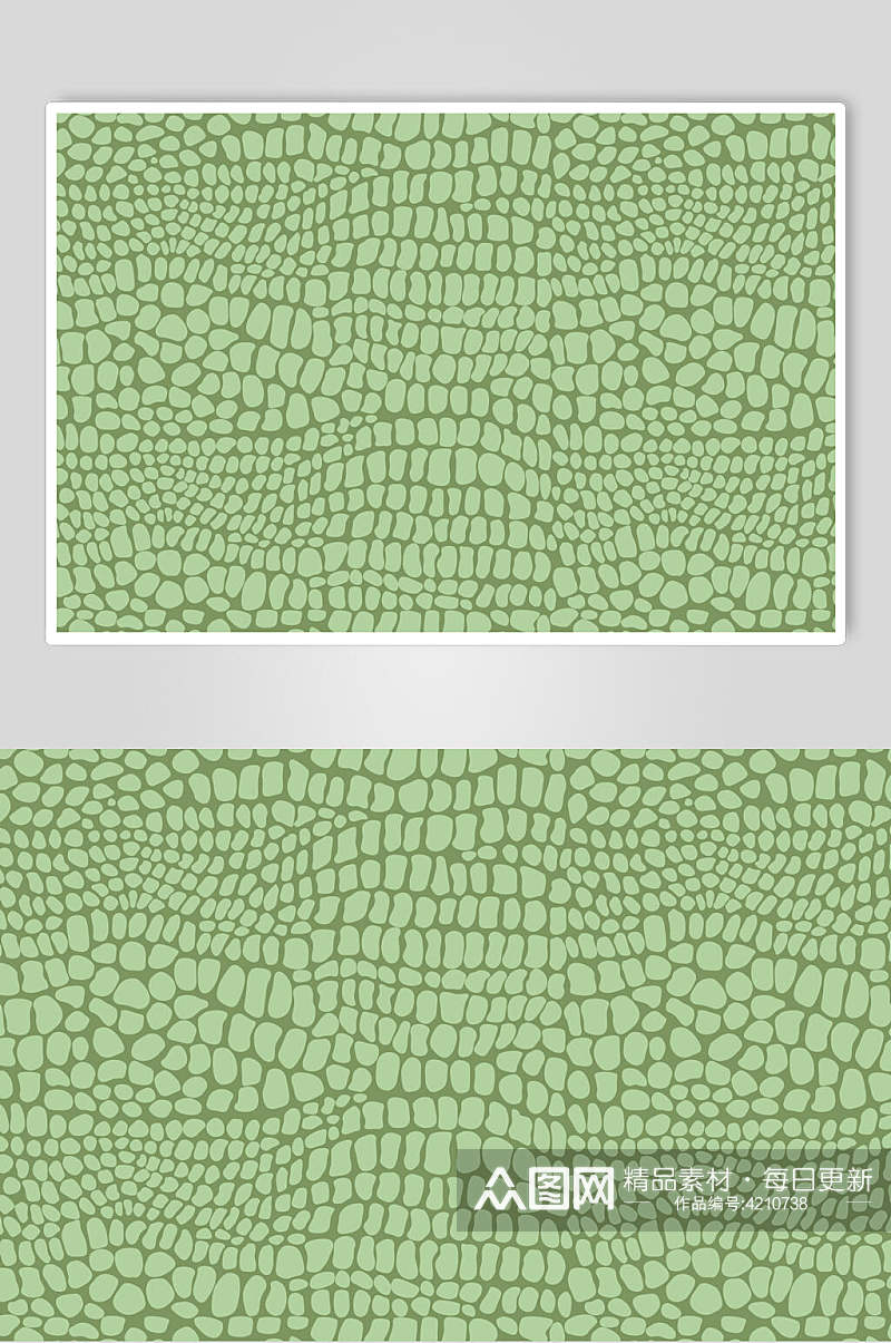 绿色斑马豹纹动物兽纹理图片素材