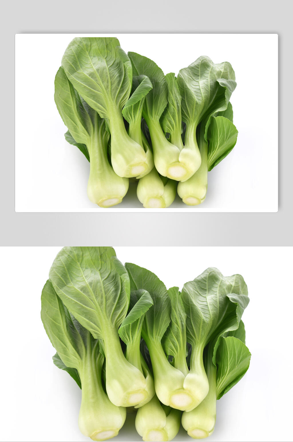上海青蔬菜图片素材