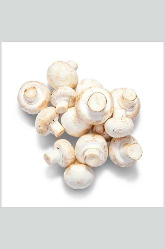 一堆白蘑菇蔬菜图片