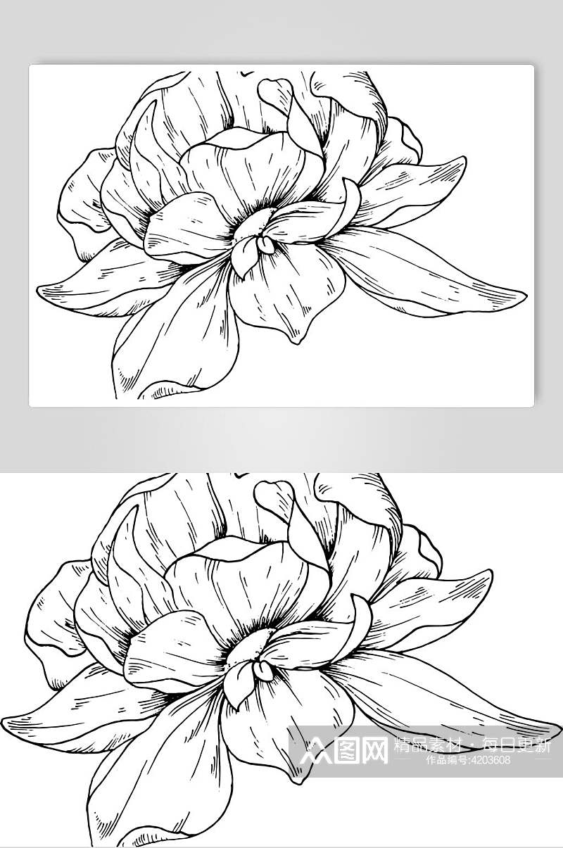 手绘创意大气黑线条花卉简笔画素材素材