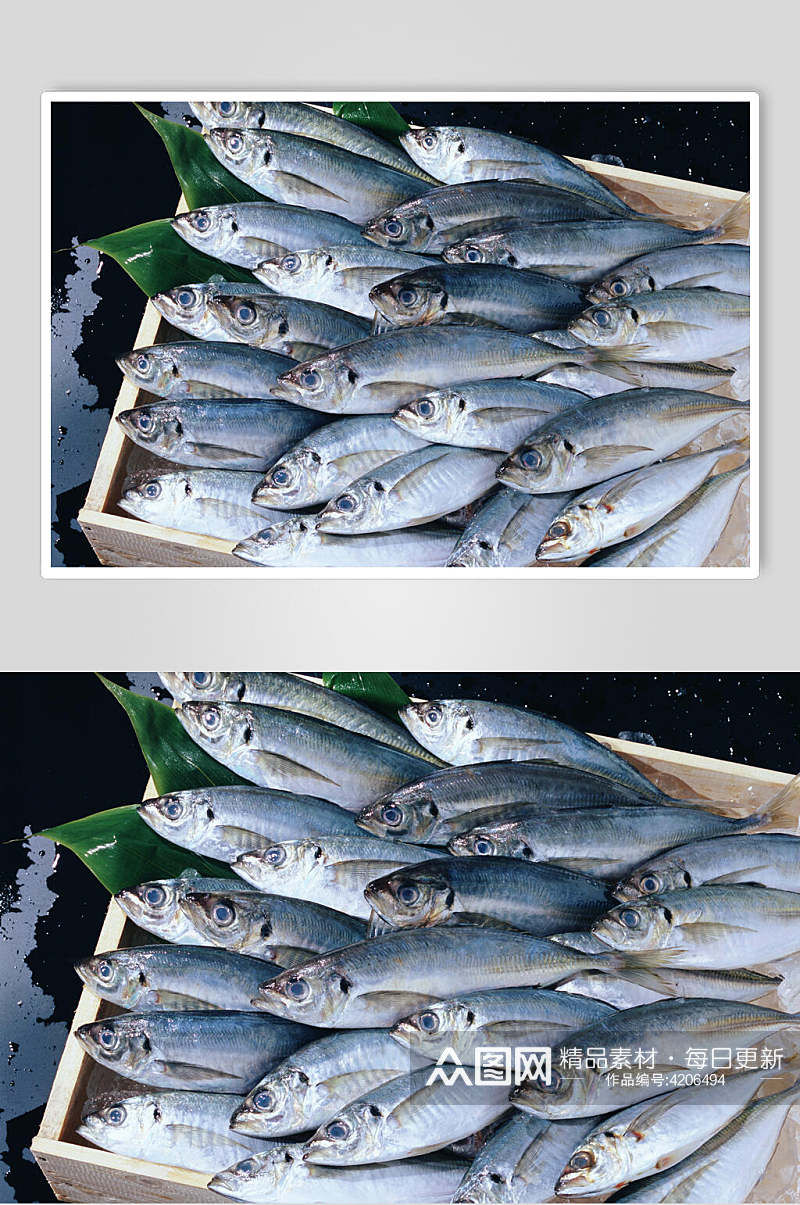 深海海鱼食品摄影图片素材