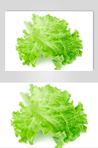一片叶子生菜蔬菜图片
