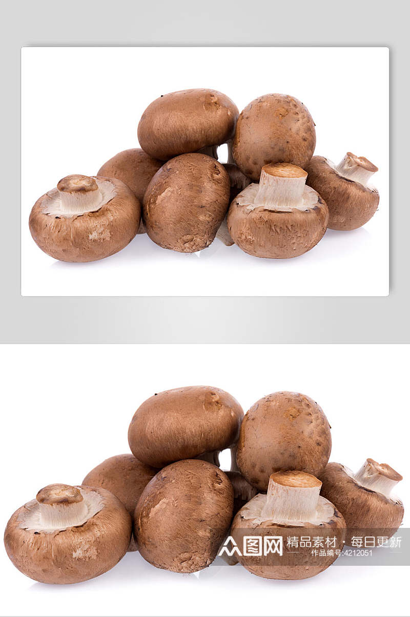 高端香菇蔬菜高清摄影图片素材