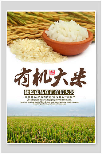创意绿色食品有机大米农产品海报