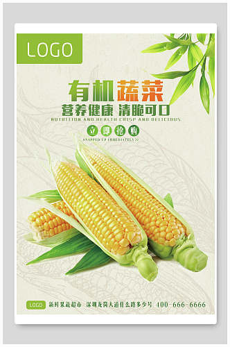 有机蔬菜农产品海报