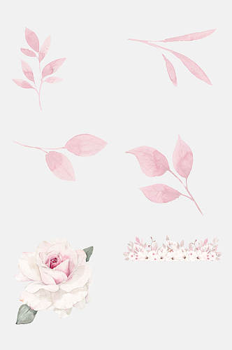 典雅大气玫瑰水彩花卉免抠素材
