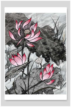 黑白荷花中国风花卉插画