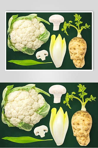 叶子蘑菇简约大气高端绿色蔬菜素材