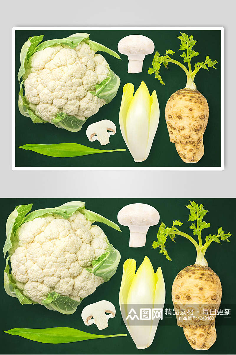 叶子蘑菇简约大气高端绿色蔬菜素材素材