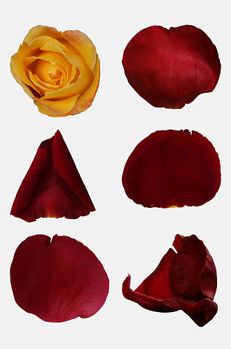 红色高端时尚玫瑰花免抠素材