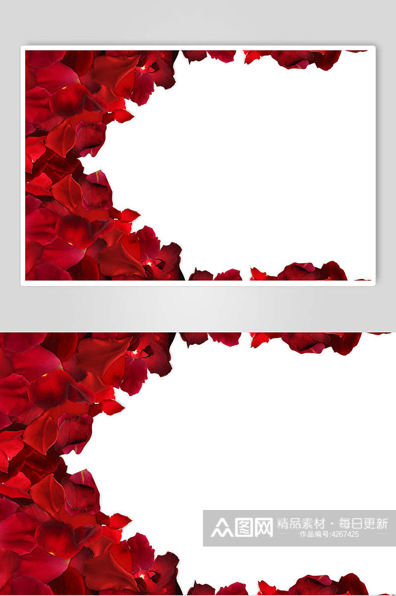 花瓣留白浪漫唯美红玫瑰花素材素材