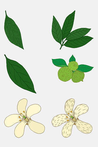 创意绿色果实卡通植物插画免抠素材