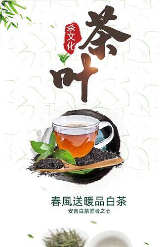 创意春风送暖品白茶茶叶电商详情页