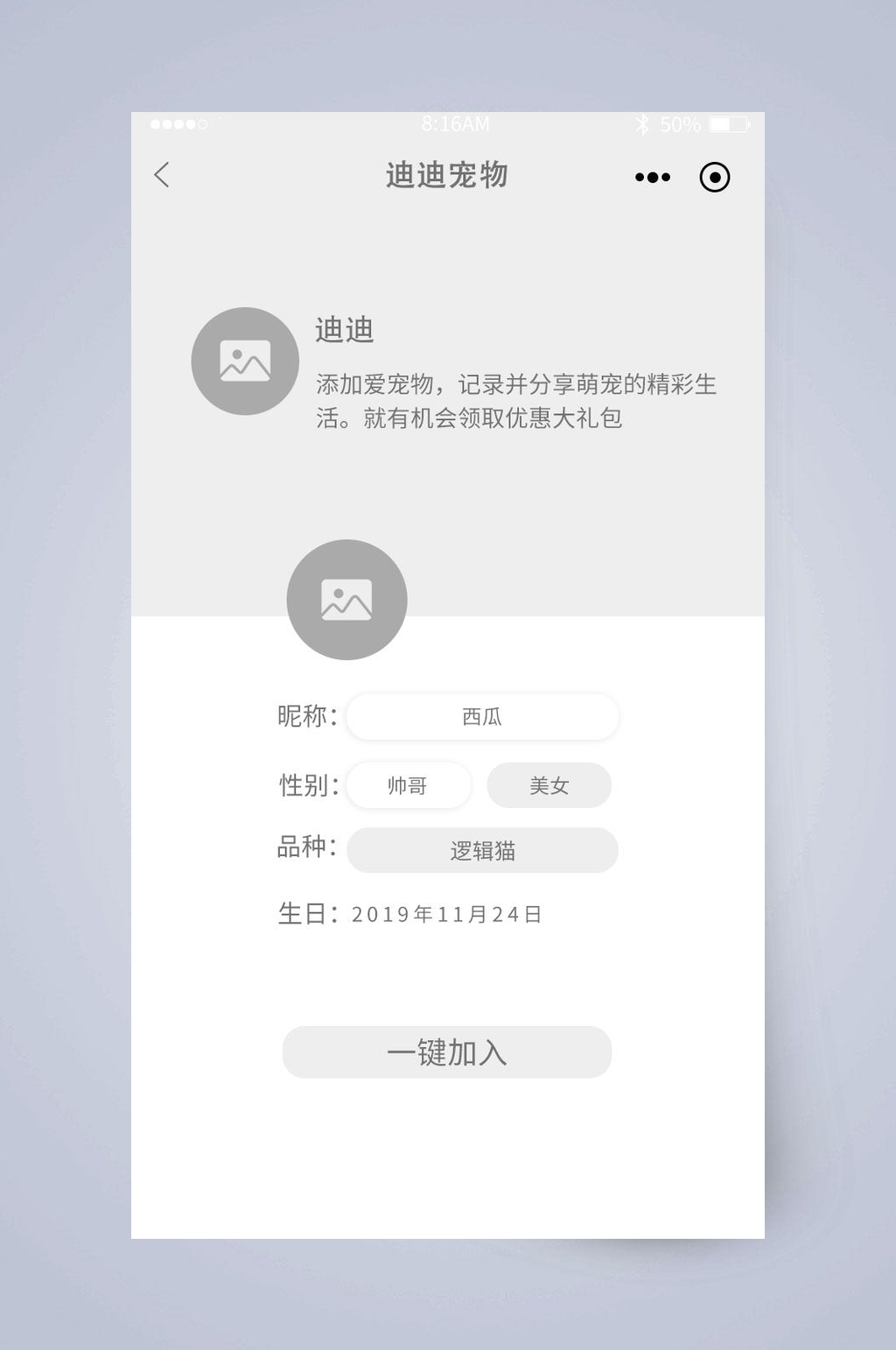 宠物名字UI页面设计素材