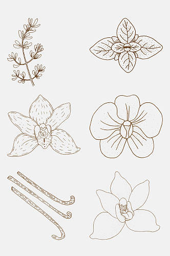 棕色手绘植物花卉线稿免抠素材