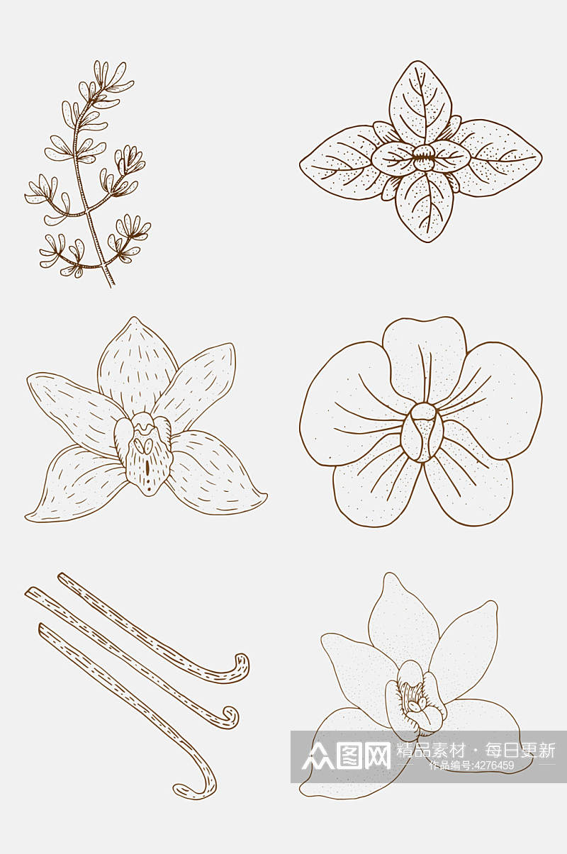 棕色手绘植物花卉线稿免抠素材素材
