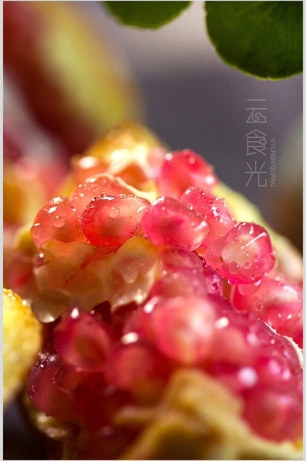 红石榴食物图片素材