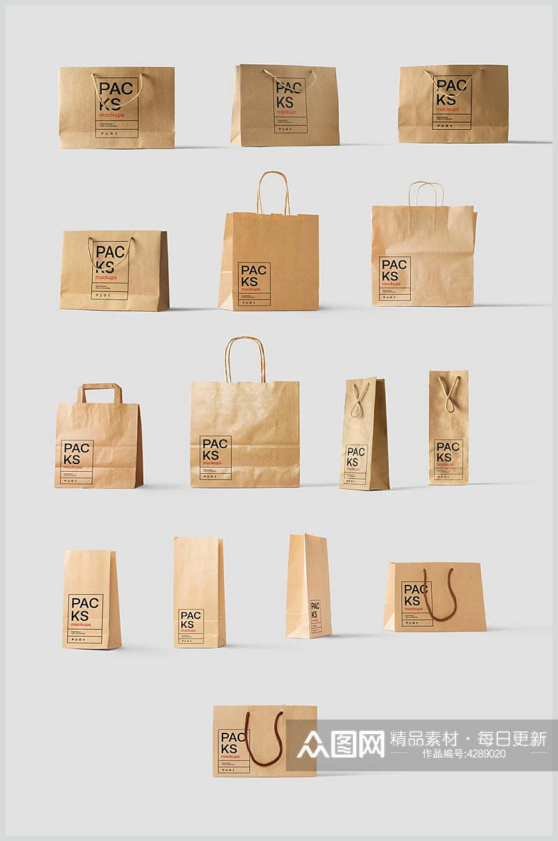 手提纸袋品牌设计物料样机素材