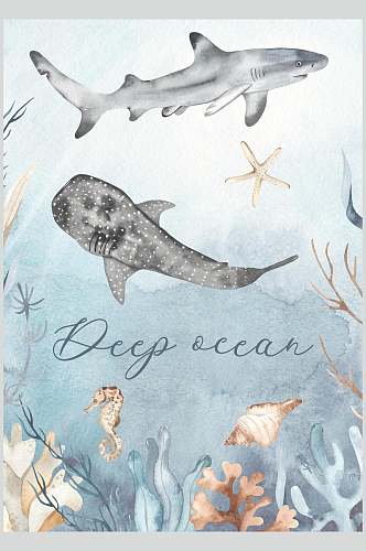 英文字母鲨鱼灰色海底动物素材