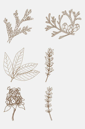 线条棕手绘植物花卉线稿免抠素材