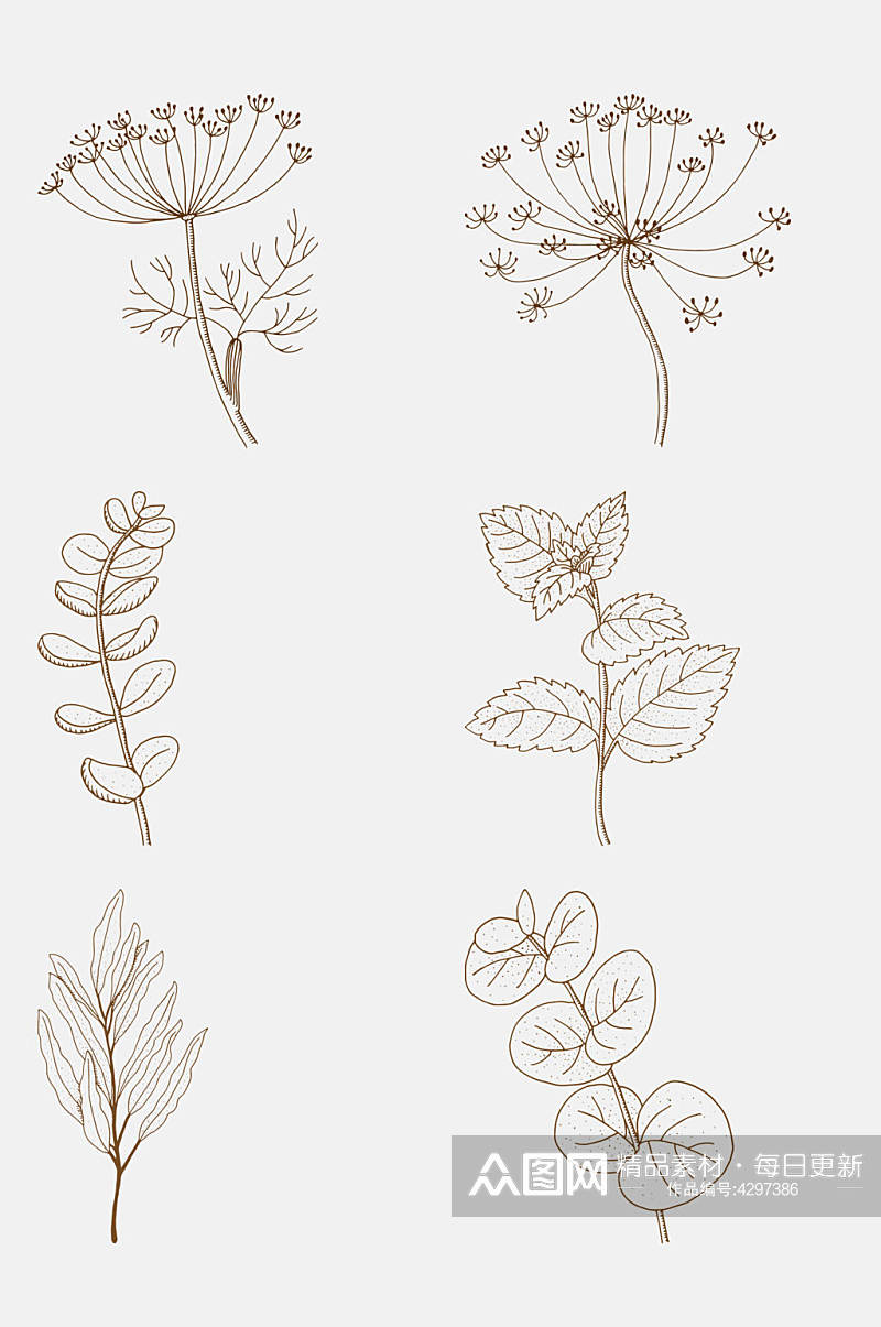 叶子手绘植物花卉线稿免抠素材素材