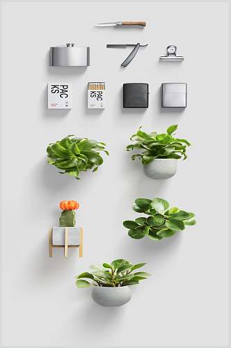盆栽绿色方形高端创意家居物料素材