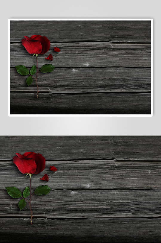 木板背景玫瑰花图片