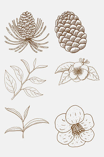 线条手绘植物花卉线稿免抠素材