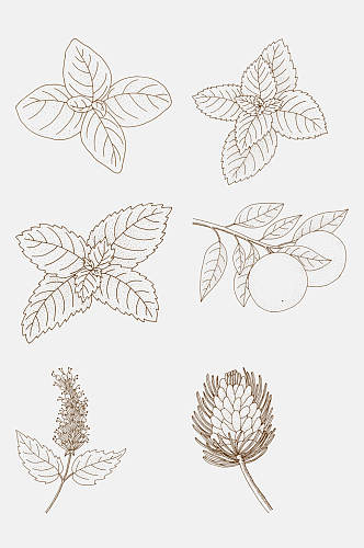 叶子手绘植物花卉线稿免抠素材