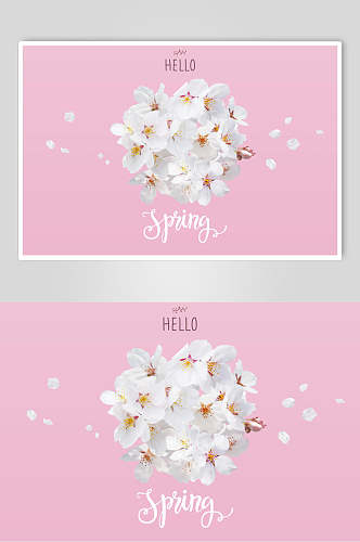 粉色唯美桃花樱花植物海报