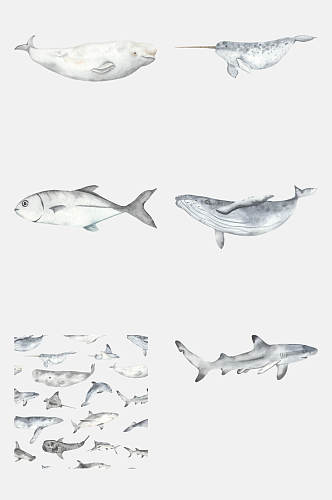 简约手绘鲨鱼海底动物免抠素材