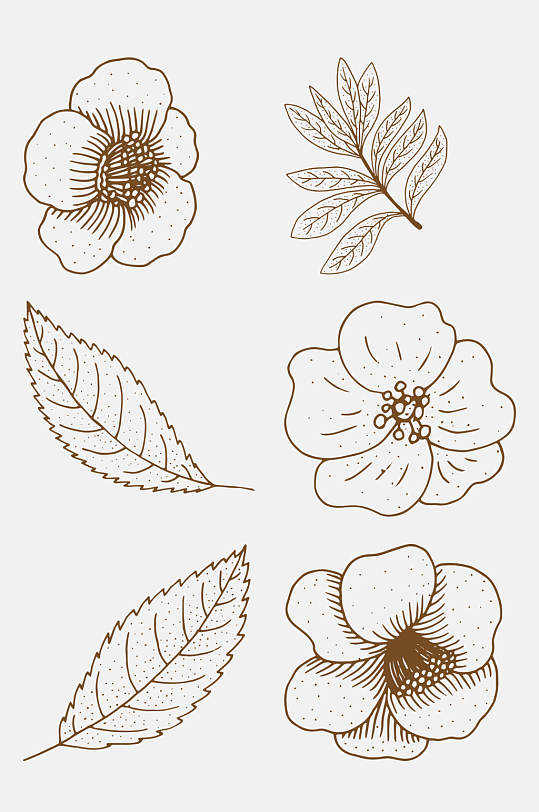 线条手绘植物花卉线稿免抠素材