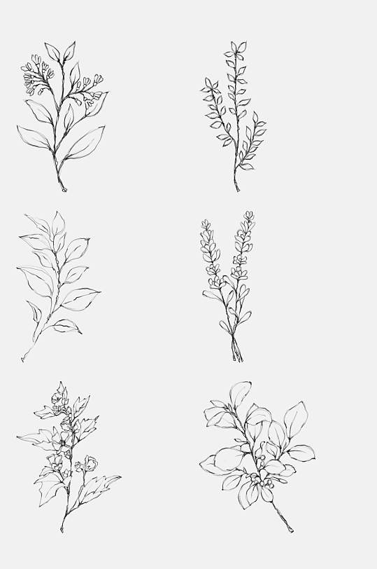 卡通枝叶线条植物手绘免抠素材
