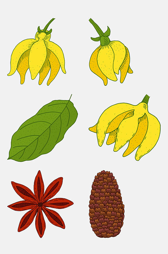 八角卡通植物插画免抠素材