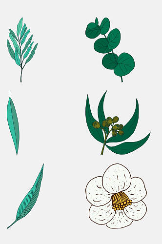 白色花朵卡通植物插画免抠素材