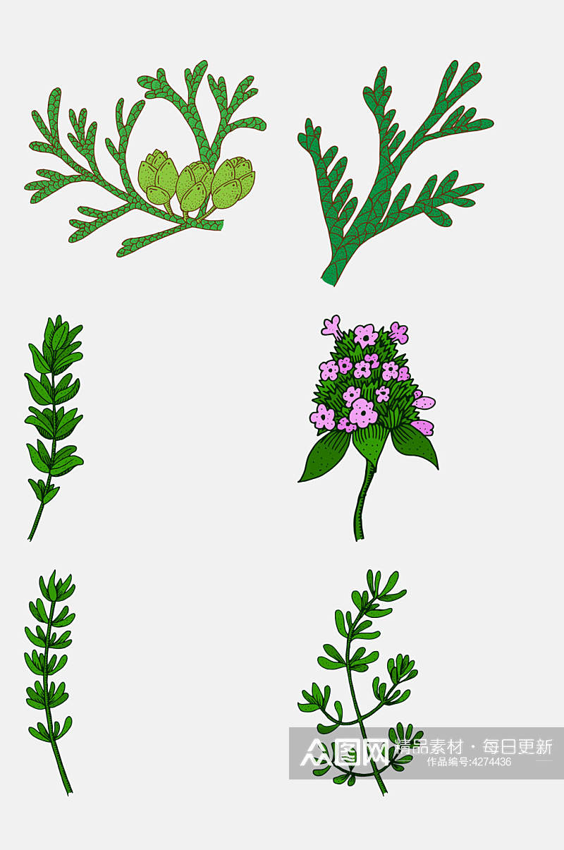 紫色花朵卡通植物插画免抠素材素材