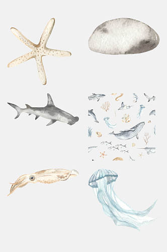 唯美水母海底动物免抠素材