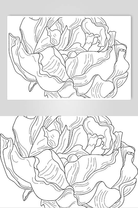 线条手绘卡通灰简笔画花卉图片