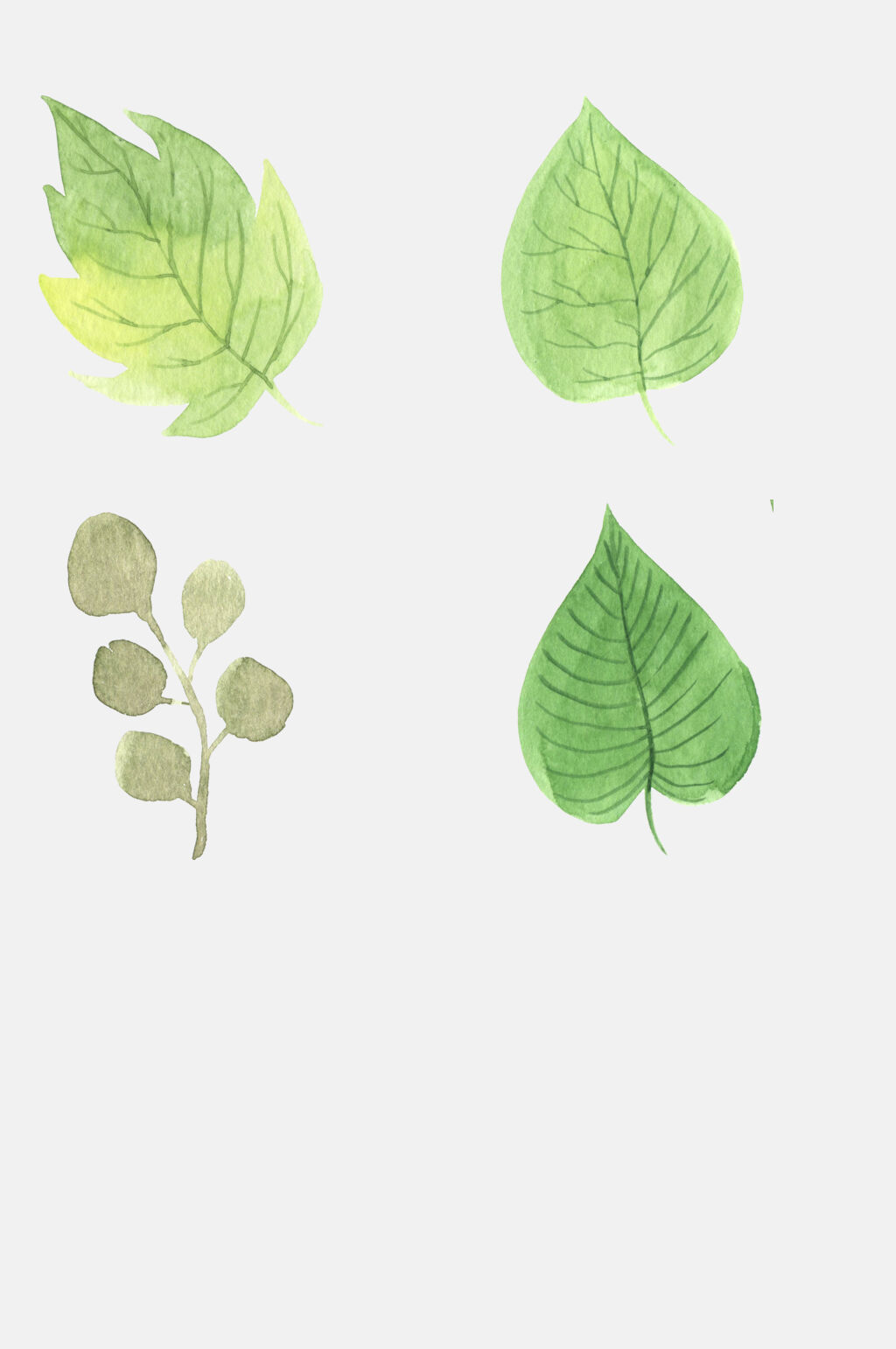 简约树叶清新手绘花朵免抠素材素材