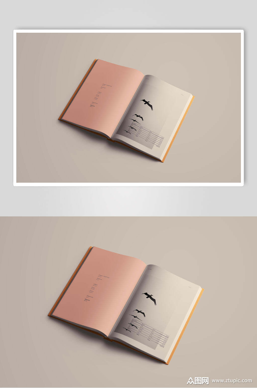 英文字母图案硬壳书籍封面样机素材