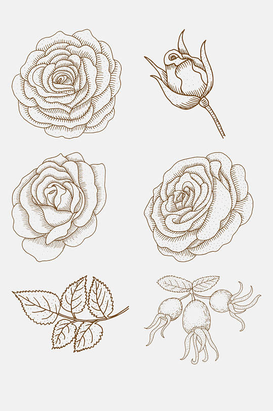 花苞手绘植物花卉线稿免抠素材