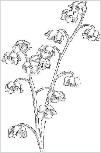 枝干手绘黑白色简笔画花卉图片