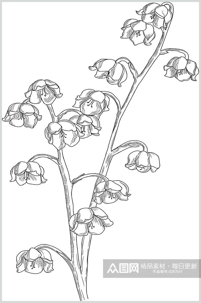 枝干手绘黑白色简笔画花卉图片素材
