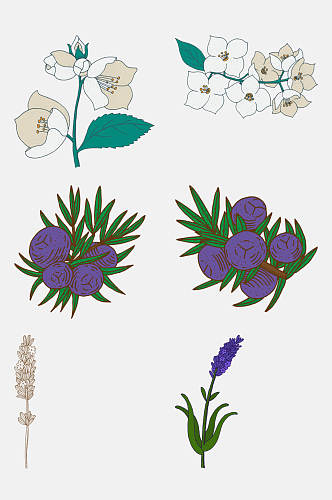 紫色果实卡通植物插画免抠素材