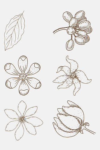 花蕊手绘植物花卉线稿免抠素材